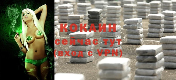 гидропоника Иннополис
